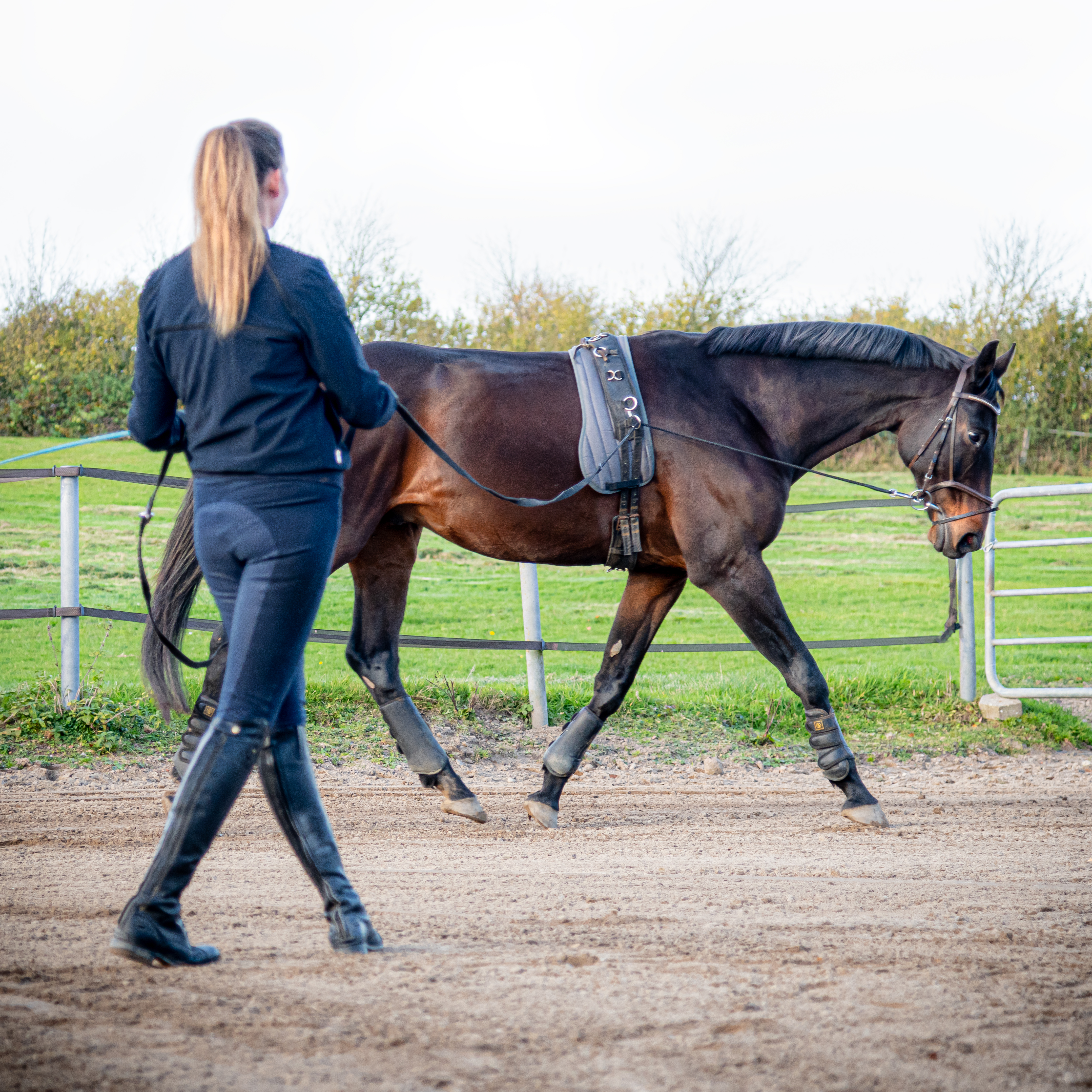 Doppellonge Training